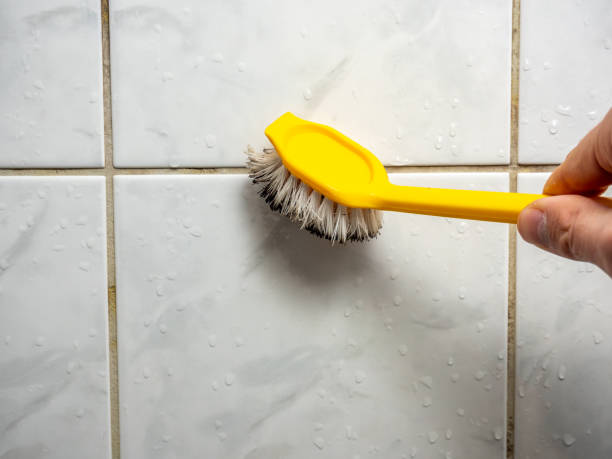 Best Mold Removal Company Near Me  in Fairview Heights, IL