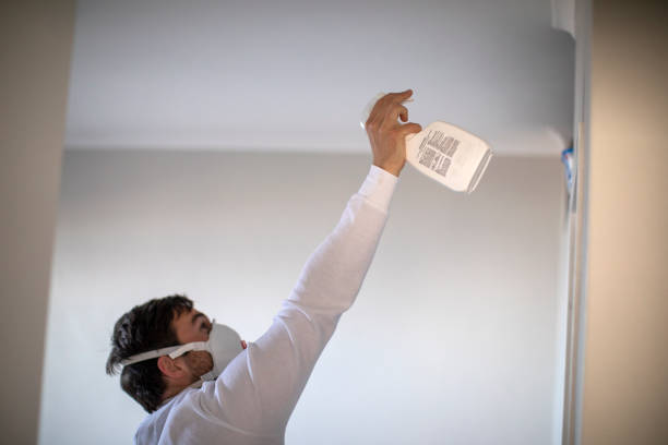 Reliable Fairview Heights, IL Mold Removal Solutions